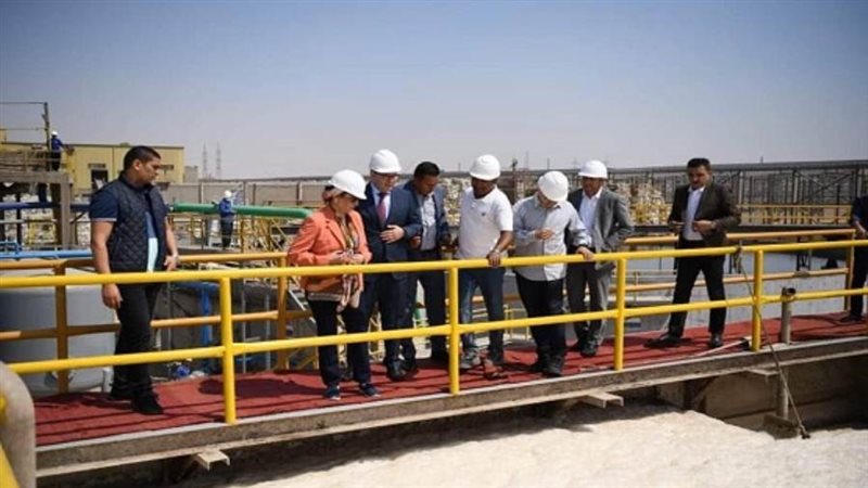 الشورى