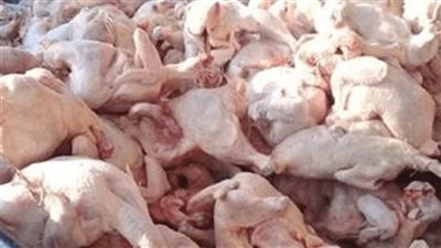 ضبط 1200 كيلو دواجن غير صالحة للاستهلاك الآدمي بجنوب الجيزة