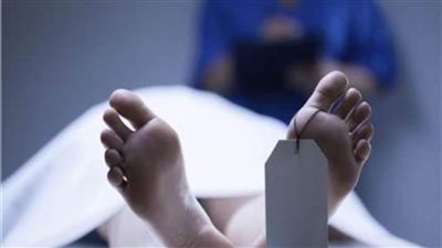 «ساطور وجثة في الثلاجة».. كواليس أبشع جريمة هزت الإسكندرية