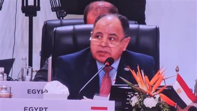 وزير المالية: تطوير الهيكل المالي العالمي.. لتعزيز المسار التنموي وتسريع التعافي الاقتصادي