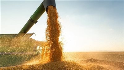 رسالة طمأنة من روسيا للدول الفقيرة: سنمدكم بالحبوب مجانا