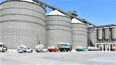 استمرار توريد الاقماح لصوامع وشون بالشرقية 