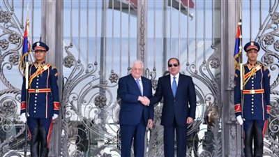 الرئيس السيسي: دعم مصر ثابت وتاريخي للشعب الفلسطيني
