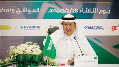 الكهرباء والطاقة المتجددة.. السعودية تعلن الموافقة على مشاريع جديدة مع مصر