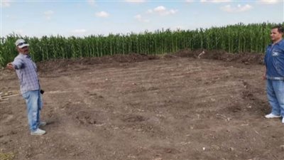 إزالات فورية لـ 12 حالة تعد على الأراضي الزراعية بـ كفر الشيخ