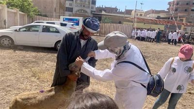 بيطري الغربية: قافلة للكشف وتقديم العلاج لـ436 حيوانا و5500 طائر