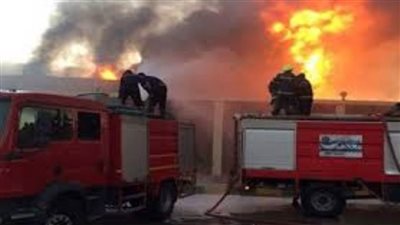 أسوان .. السيطرة على حريق بزراعات النخيل