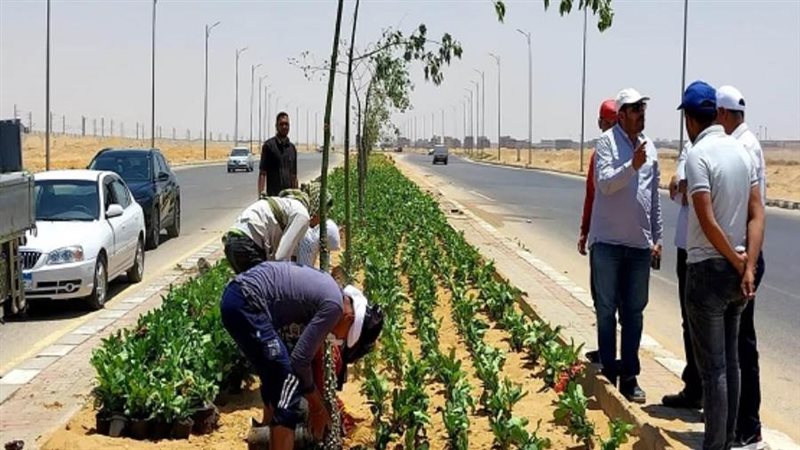 الشورى