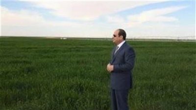 نقيب الزراعيين : مشروع توشكى واجه تحديا كبيرا لإنشاء الترع