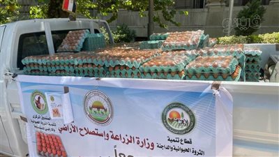 سعر الكرتونة مفاجأة.. الزراعة تطلق منافذ متحركة لبيع البيض في 5 محافظات