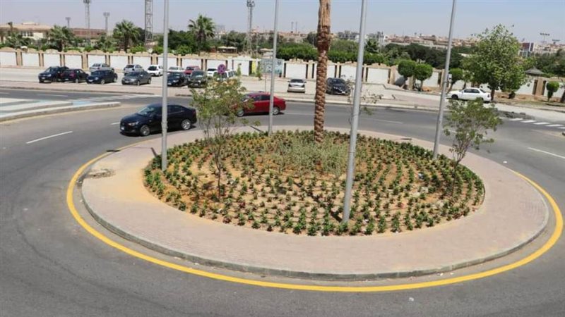 الشورى