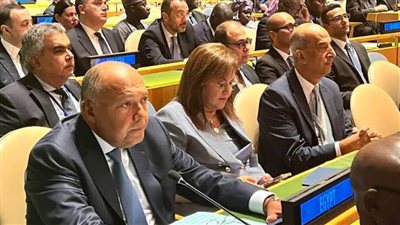 شكري: ملتزمون بالعمل مع الشركاء لتمهيد الطريق لاستئناف المحادثات بين الفلسطينيين والإسرائيليين