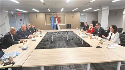 شكري ونظيره القبرصي يؤكدان قوة ومتانة علاقات الصداقة الاستراتيجية التي تجمع مصر وقبرص