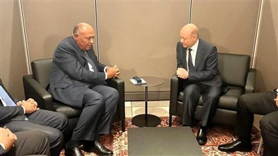 وزير الخارجية يلتقي مع رئيس مجلس القيادة الرئاسي اليمني