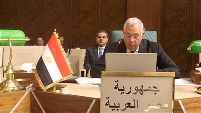 وزير الزراعة يلقى كلمة بجامعة الدول العربية في ورشة العمل التشاورية حول حالة الأمن الغذائي العربي 
