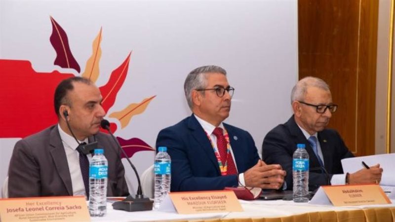 الشورى