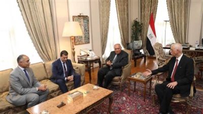 رئيس الوطنية للانتخابات يبحث مع وزير الخارجية الاستعدادات لتصويت المصريين بالخارج