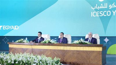 أيمن عاشور: 100 منحة رئاسية لدعم المواهب بدول العالم الإسلامي