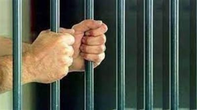 المشدد 10 سنوات للمتهم بالإتجار في الأسلحة النارية والذخائر بالقليوبية