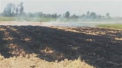 وزيرة البيئة توجه بالسيطرة على أي حرائق لقش الأرز وغلق أو تقنين عمل المكامير