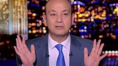 عمرو أديب عن المساعدات المصرية لفلسطين: هتدخل بعون الله