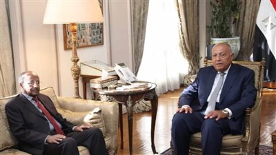 شكري يلتقي وزير خارجية إريتريا والمستشار السياسي للرئيس الإريتري