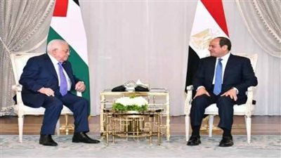 الرئيس السيسي: لا بد للشعب الفلسطيني الصمود على أرضه