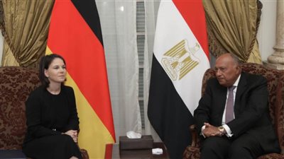 شكري يشدد على ضرورة الوقف الفوري للتصعيد لتجنيب المدنيين المزيد من المخاطر