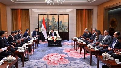 رئيس الوزراء يلتقي رئيس 