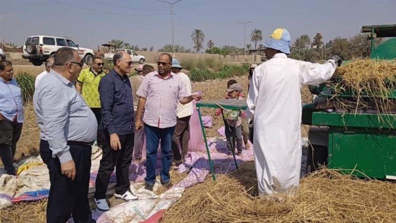 الشورى