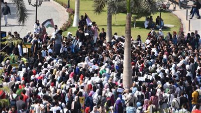 مظاهرات حاشدة لطلاب جامعة عين شمس للتنديد بالعدوان الإسرائيلي على قطاع غزة