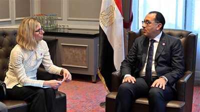 مدبولي يؤكد أهمية قيام المؤسسات المالية الدولية بمساعدة البلدان النامية