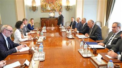 شكري: نحذر من العواقب الإنسانية والأمنية لممارسات إسرائيل للعقاب الجماعي ضد سكان غزة