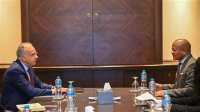 مصر تدعو اليابان لدعم المبادرة الدولية للتكيف بقطاع المياه