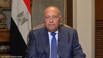 وزير الخارجية: تهجير الفلسطينيين من غزة مخالف للقانون الدولي