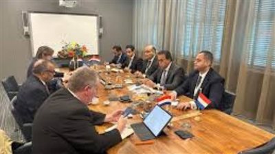 عبدالغفار يبحث مع مدير منظمة الصحة العالمية توسيع نطاق المساعدات الإنسانية لأهالي غزة