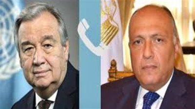 شكري: ضرورة تطبيق قرار جمعية الأمم المتحدة لإنفاذ هدنة إنسانية فورية في غزة