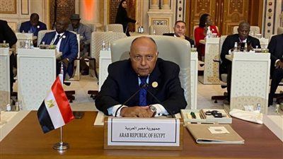 وزير الخارجية يؤكد لنظيرته الألمانية حتمية الوقف الفوري لإطلاق النار في غزة