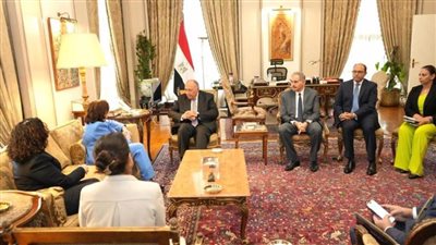 وزير الخارجية يؤكد أن الانتهاكات التي تتعرض لها المرأة الفلسطينية في غزة ترقي لجرائم الحرب