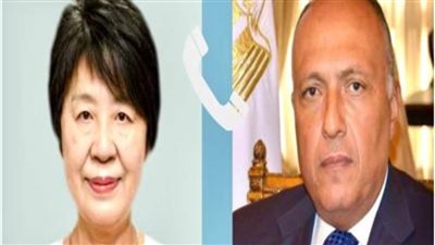 شكري: نؤكد رفض مصر القاطع لمحاولات تهجير الفلسطينيين داخل غزة أو خارجها