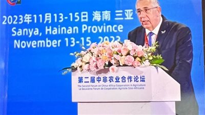 القصير يؤكد على الشراكة الاستيراتيجية المصرية الصينية خلال حكم الرئيس السيسي 