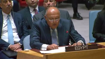 سامح شكري: نرفض التهجير القسري للفلسطينيين.. ويجب إحياء مسار السلام وفق حل الدولتين