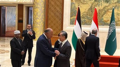 سامح شكري وأعضاء اللجنة الوزارية يلتقون في أولى محطاتهم ببكين مع كل من نائب الرئيس الصيني ووزير الخارجية