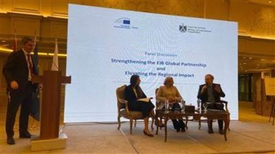 الداخلية: ضبط القائم على إدارة 29 موقعا لبث الأفلام والمسلسلات المقرصنة