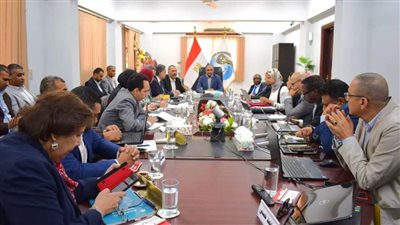 محافظ الأقصر ونائب وزير الإسكان وبعثة بنك التنمية الإفريقي يتابعون موقف أعمال برنامج الصرف الصحي المتكامل بصعيد مصر 