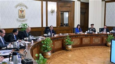 مدبولي يكلف بالاعتماد على المكون المحلي بمختلف المشروعات دعماً للصناعة الوطنية