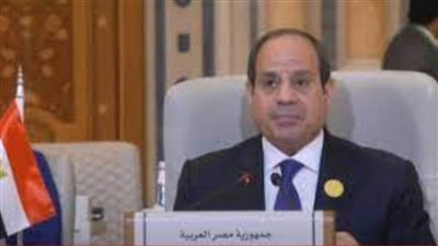 الرئيس السيسي: الدولة المصرية بكافة أجهزتها ومؤسساتها مستمرة في تقديم الدعم لفلسطين