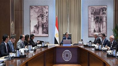 رئيس الوزراء يستعرض مشروعا لإنتاج الأمونيا الخضراء باستثمارات تقترب من مليار دولار (صور)