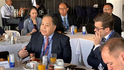 وزير المالية: مبادرة تحويل جزء من المديونيات إلى أداة لمواجهة التغير المناخي تمنح دفعة قوية للاستثمارات الخضراء