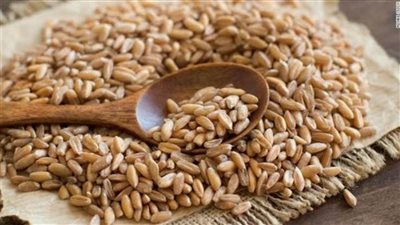 لإنقاذ المناخ.. الأمم المتحدة تدعو الأغنياء إلى تناول بدائل للحوم